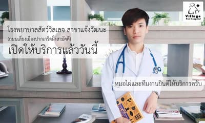 Listing cover image