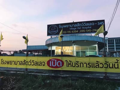 โรงพยาบาลสัตว์วิลเลจ (345) 3