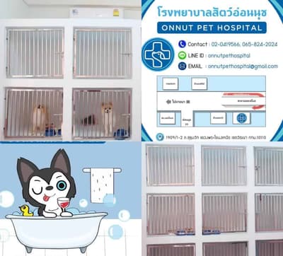 โรงพยาบาลสัตว์อ่อนนุช 2