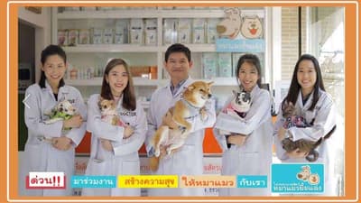 โรงพยาบาลสัตว์หมาแมวยิ้มแฉ่ง 5