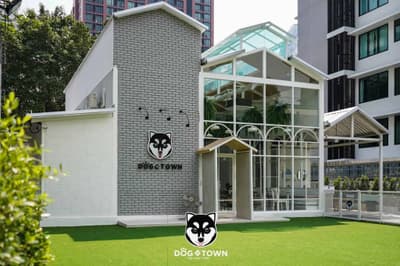 Dog In Town (อารีย์) 5