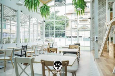 Dog In Town (อารีย์) 3
