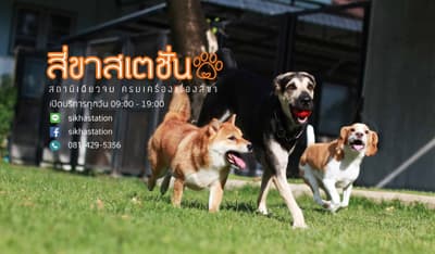 Listing cover image
