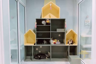 SpaceCat Camp 3