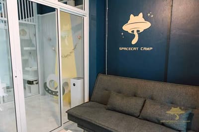 SpaceCat Camp 1