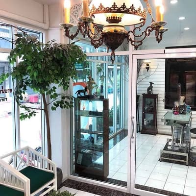 Starwood Arts of Dog Grooming School 4