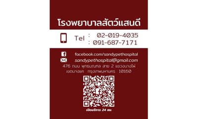 โรงพยาบาลสัตว์แสนดี 4