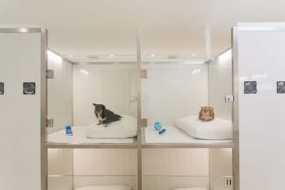 Pet Hotel Bangkok (สุขุมวิท) 8