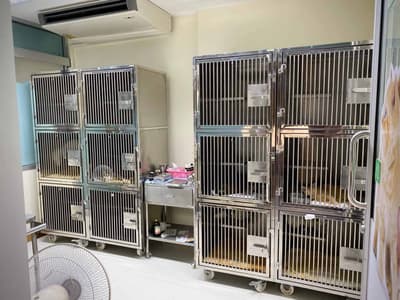 โรงพยาบาลสัตว์รัตนาธิเบศร์ (ราชพฤกษ์) RTB Referral Animal Hospital (Ratchapruek) 8
