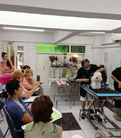 Starwood Arts of Dog Grooming School 2