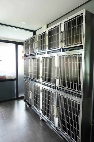 โรงพยาบาลสัตว์รัตนาธิเบศร์ (เกษตรนวมินทร์) RTB Referral Animal Hospital (Kaset-Nawamin) 4