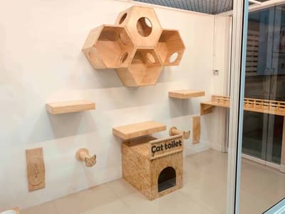 Fuku Cat Hotel 5