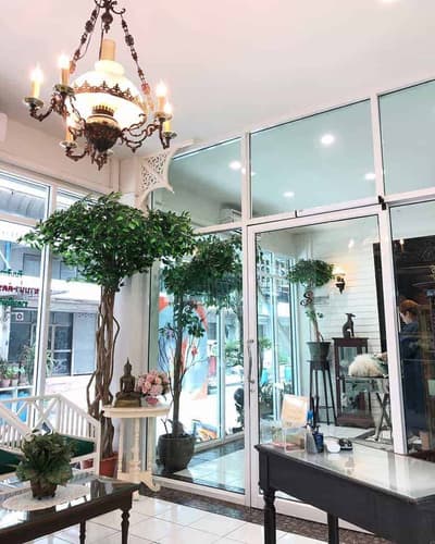Starwood Arts of Dog Grooming School 3