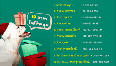 โรงพยาบาลสัตว์รัตนาธิเบศร์ (เกษตรนวมินทร์) RTB Referral Animal Hospital (Kaset-Nawamin) 1