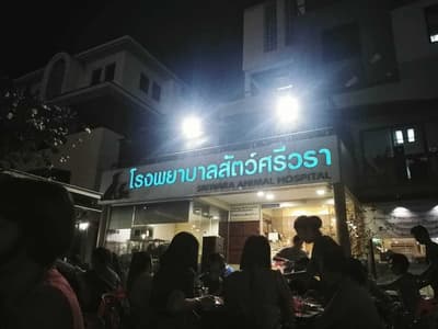 โรงพยาบาลสัตว์ศรีวรา 1
