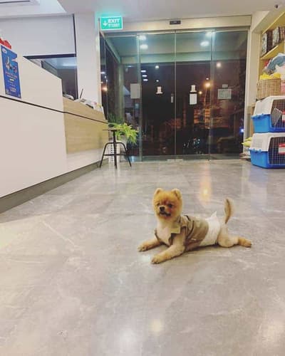 โรงพยาบาลสัตว์ศรีวรา 2