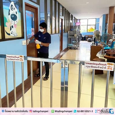 โรงพยาบาลสัตว์ตลิ่งชัน 4