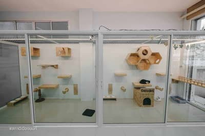 Fuku Cat Hotel 3