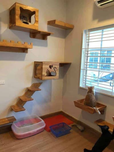Tigger's House & Cat Hotel ทิคเกอร์เฮ้าส์แอนด์แคทโฮเทล โรงแรมแมว 8