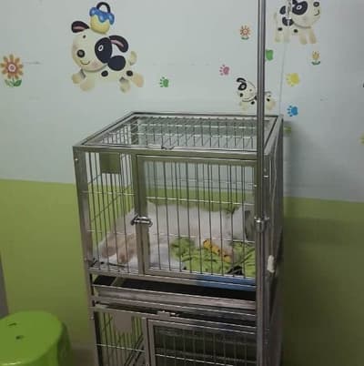 โรงพยาบาลสัตว์ร่มเกล้า 6