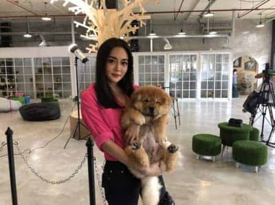 Pet Public 8