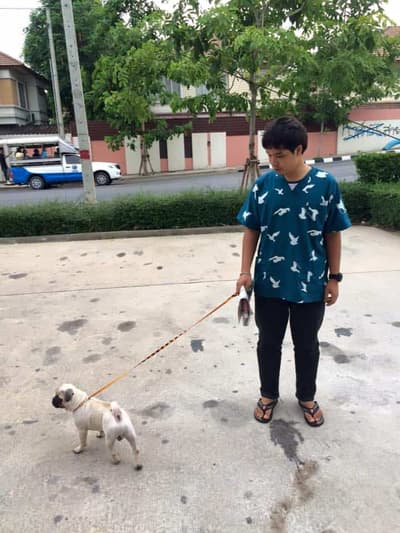 Petconnect (โรงพยาบาลสัตว์เพ็ท คอนเนค) 6