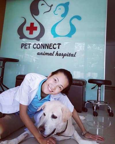 Petconnect (โรงพยาบาลสัตว์เพ็ท คอนเนค) 7