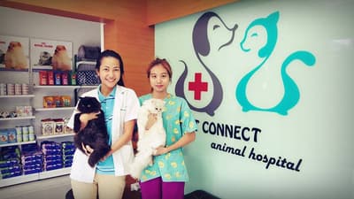 Petconnect (โรงพยาบาลสัตว์เพ็ท คอนเนค) 8
