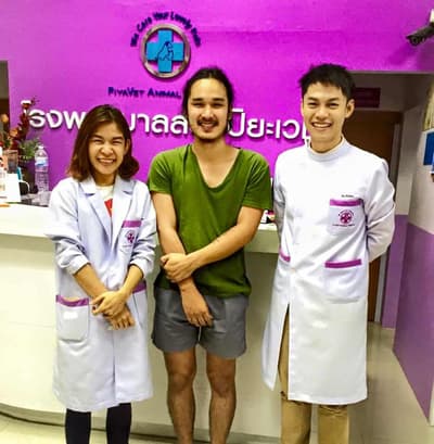 โรงพยาบาลสัตว์ปิยะเวช (PiyaVet Animal Hospital) 2