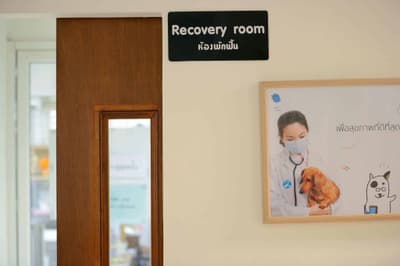 Saimai Animal Hospital (โรงพยาบาลสัตว์สายไหม) 4