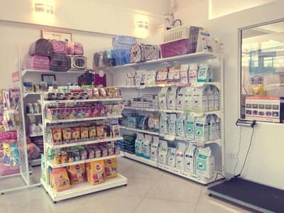 โรงพยาบาลสัตว์เพ็ทโตะ Petto Animal Hospital 6