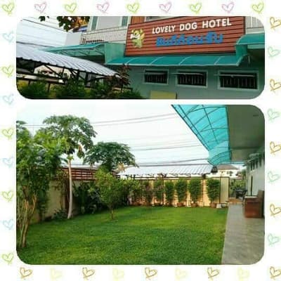 Lovely Dog Hotel (สายไหม 67) Dog Hotel 1