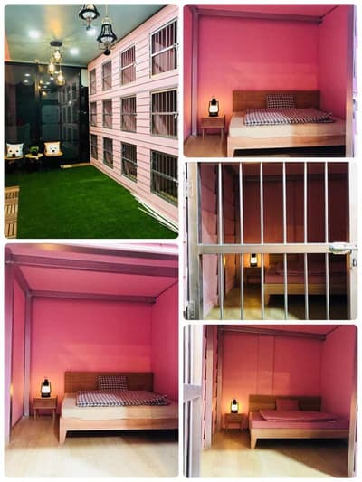 Hello puppy grooming & cafe (ซอยนัมเบอร์วัน-ราม2) 4