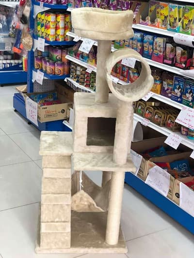 The Pet Town (โครงการVizio รามคำแหง) 1