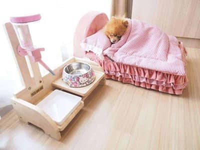 Koii Dog Home - โคอิ ด็อกโฮม 9