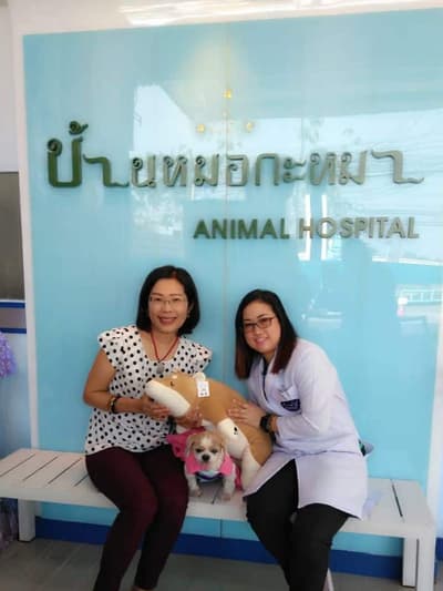 บ้านหมอกะหมา ศูนย์โรคผิวหนัง (ดอนเมือง) 1