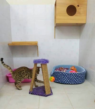 คลินิกบ้านหมอกะหมา (ลาดพร้าว101) 5