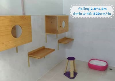 คลินิกบ้านหมอกะหมา (ลาดพร้าว101) 6
