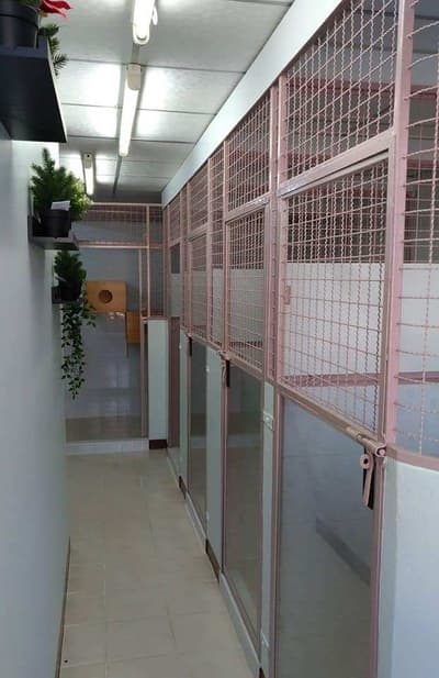 คลินิกบ้านหมอกะหมา (ลาดพร้าว101) 7