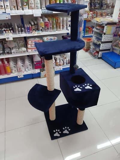 The Pet Town (โครงการVizio รามคำแหง) 5