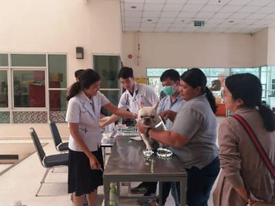 โรงพยาบาลสัตว์คณะสัตวแพทย์มหาวิทยาลัยขอนแก่น 5