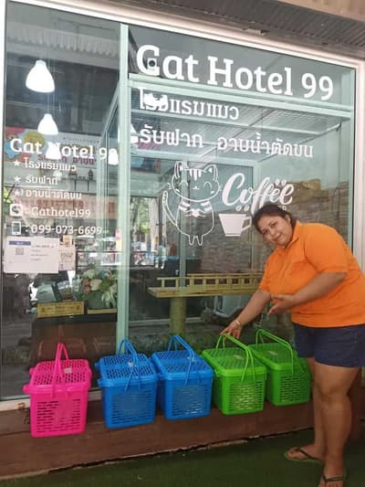Cathotel99 (แคทโฮเทล99) Cat Hotel&Grooming 4