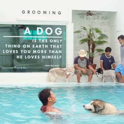 The Dog Hotel BKK (รัชดา) 3
