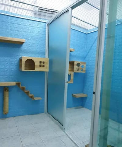 Cathotel99 (แคทโฮเทล99) Cat Hotel&Grooming 6