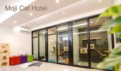 Moji Cat Hotel (มูจิ แคท โฮเทล) Cat Hotel 1