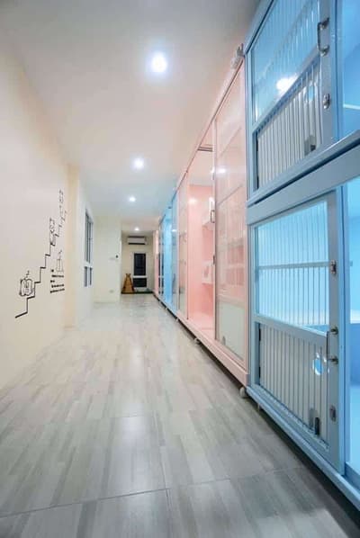 Ryoko Cat Hotel (โรงแรมแมวเรียวโค) Cat Hotel 1