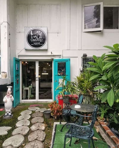 CatNip Cafe (แคทนิป คาเฟ่) Cat Cafe 6