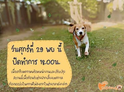 Pet Friends Bangsaen (บางแสน) 5