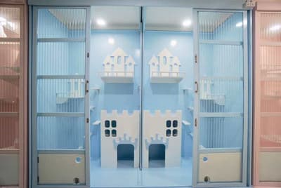 Ryoko Cat Hotel (โรงแรมแมวเรียวโค) Cat Hotel 5
