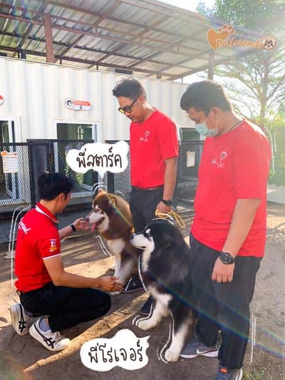 Pet Friends Bangsaen (บางแสน) 7